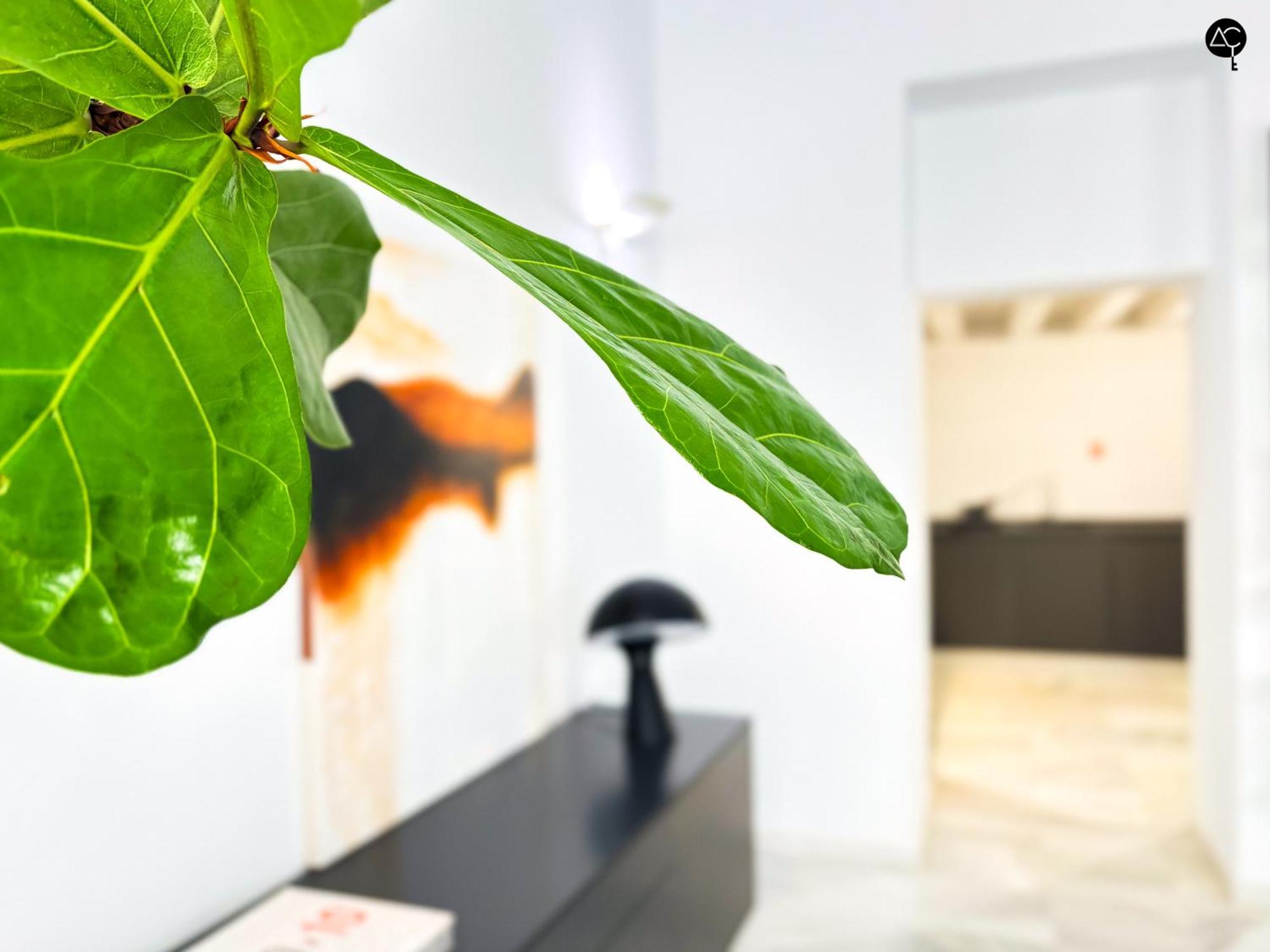 Apartament Casa Columela Cadiz Grupo Ac Gestion Zewnętrze zdjęcie
