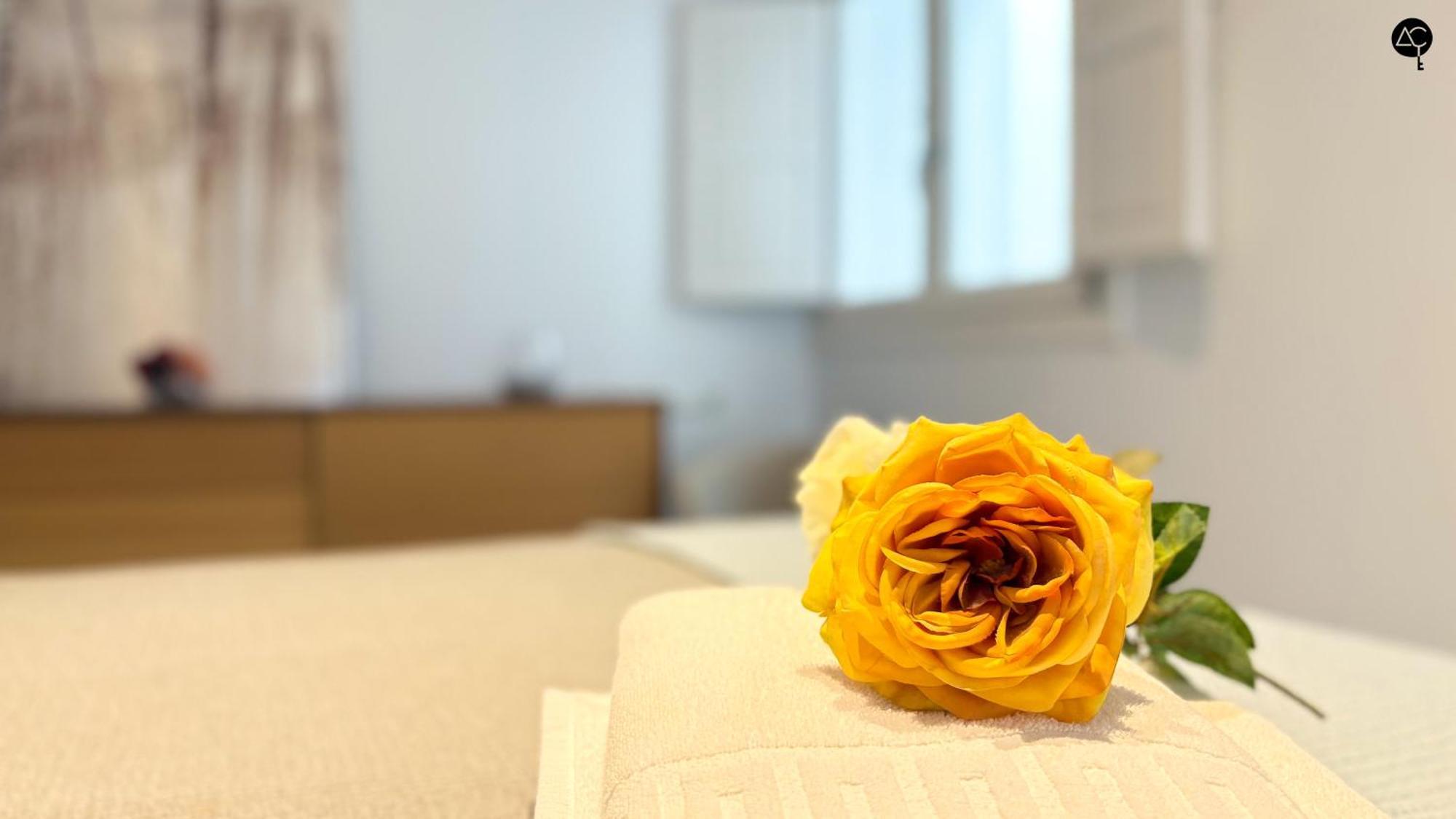 Apartament Casa Columela Cadiz Grupo Ac Gestion Zewnętrze zdjęcie